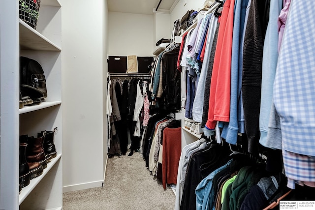 walk in closet featuring carpet floors