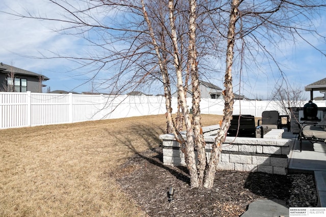 view of yard featuring a fenced backyard