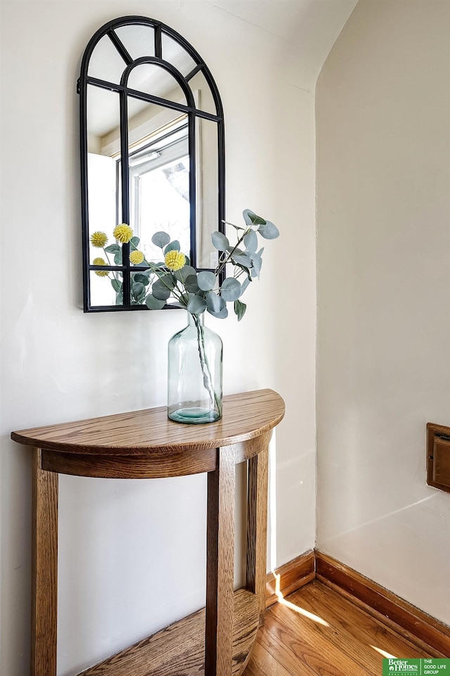 details with baseboards and wood finished floors