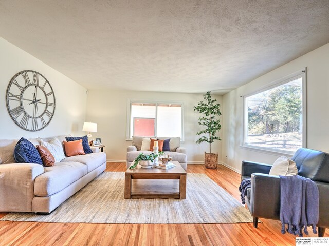 living room featuring a textured ceiling, baseboards, and wood finished floors