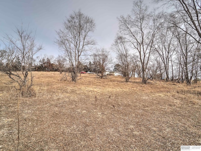 view of yard featuring a rural view