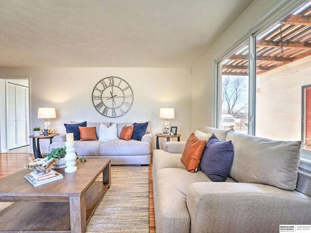 living room featuring wood finished floors