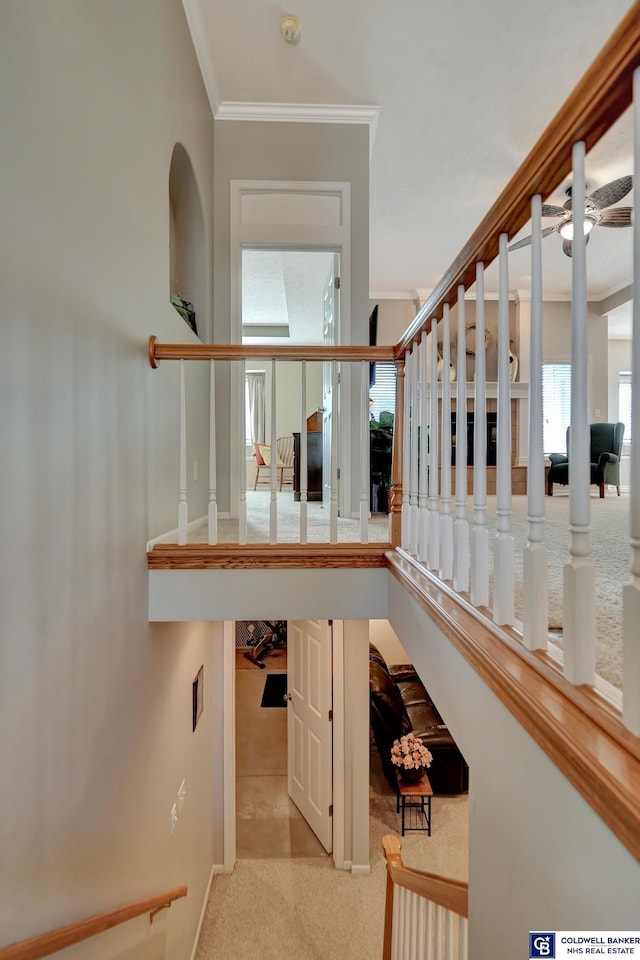 staircase with crown molding and carpet floors