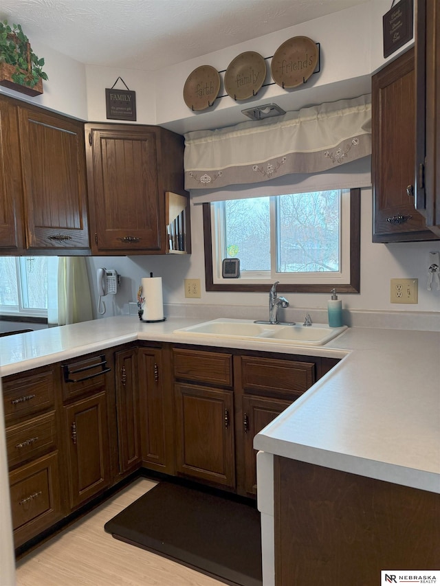 kitchen featuring dark brown cabinetry, light wood-type flooring, light countertops, and a sink