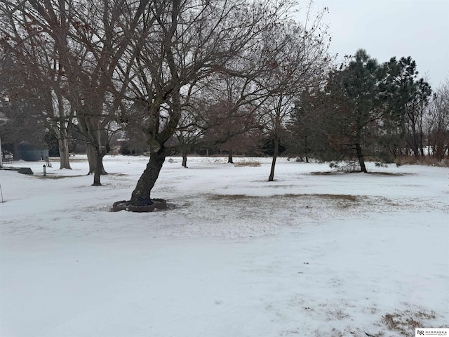 yard layered in snow featuring a garage