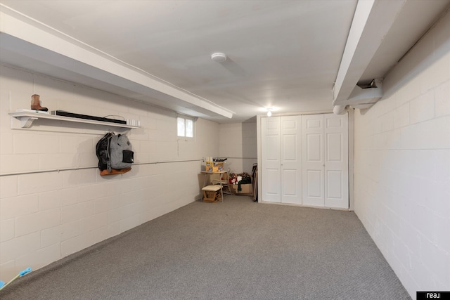 below grade area with concrete block wall and carpet floors