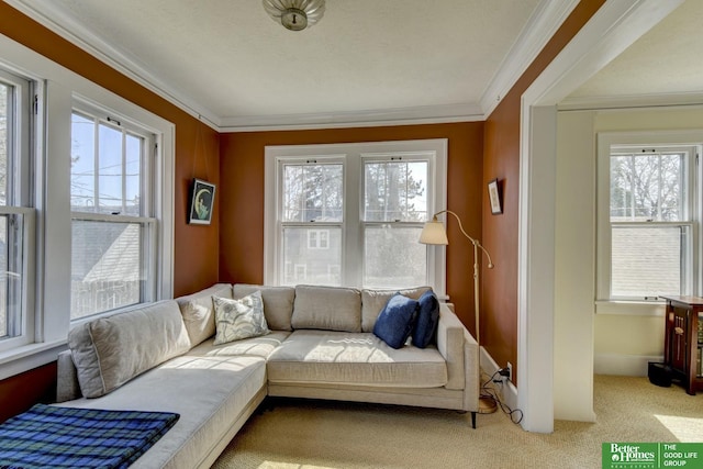 interior space with baseboards and ornamental molding