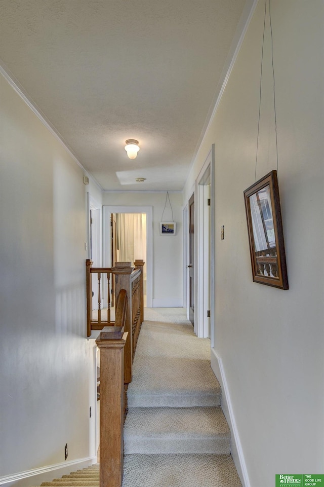 stairs with crown molding, baseboards, and carpet floors