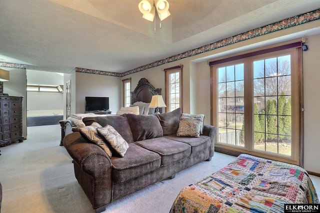 living area featuring carpet flooring