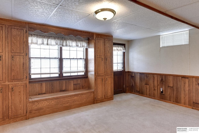 spare room with visible vents, a wainscoted wall, a wealth of natural light, and light carpet