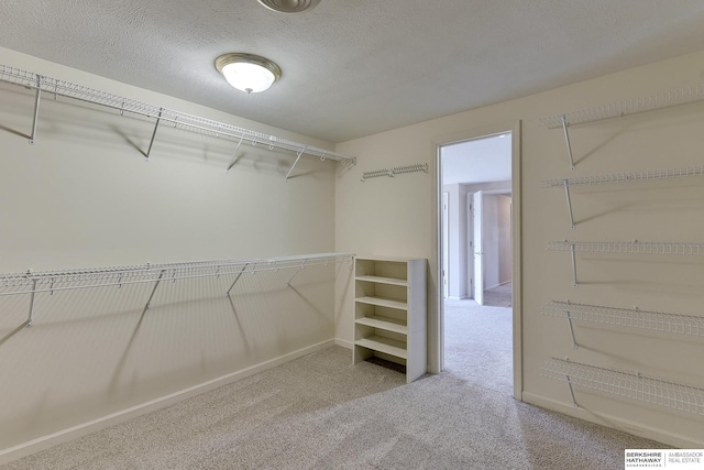 walk in closet with carpet floors