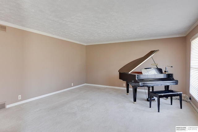 sitting room featuring light colored carpet, ornamental molding, and a textured ceiling