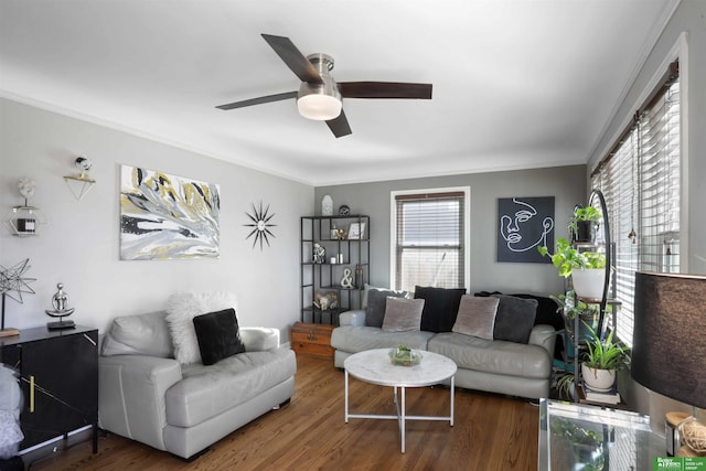 living room with crown molding, a ceiling fan, and wood finished floors