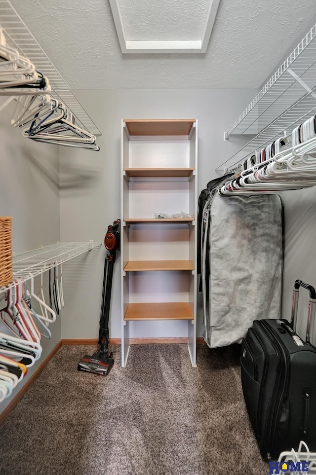 spacious closet with carpet flooring