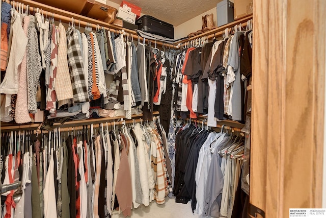 view of walk in closet