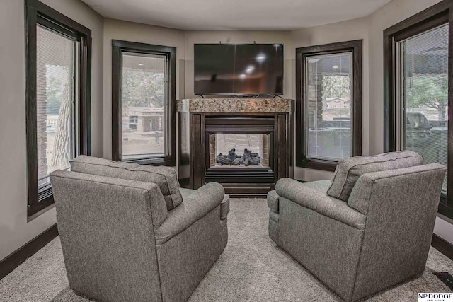 living room featuring baseboards and a multi sided fireplace