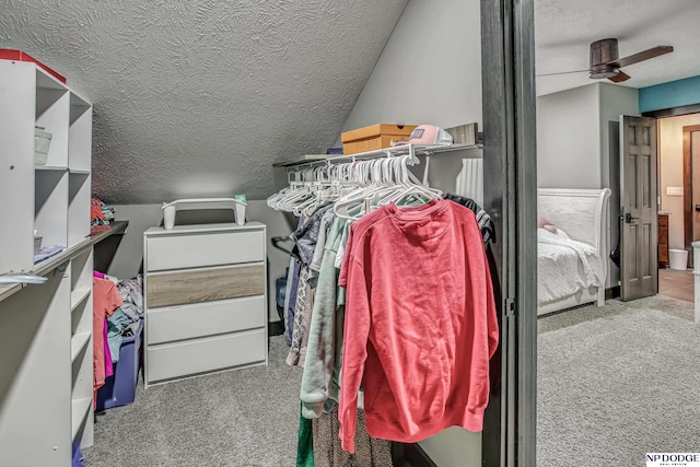 spacious closet with ceiling fan and carpet