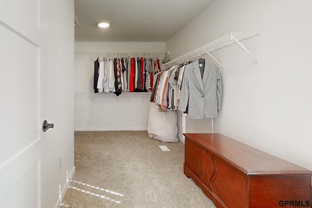 walk in closet featuring carpet floors