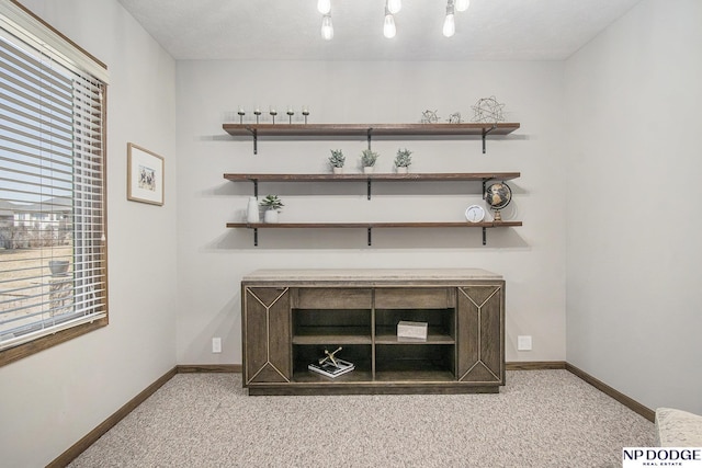 details featuring carpet flooring and baseboards