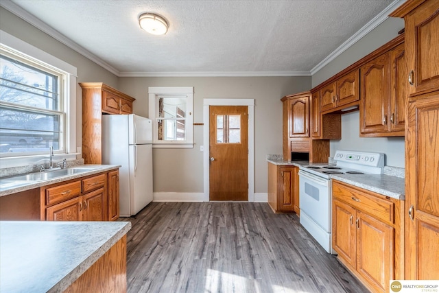 kitchen featuring white appliances, dark wood-style flooring, ornamental molding, a sink, and light countertops