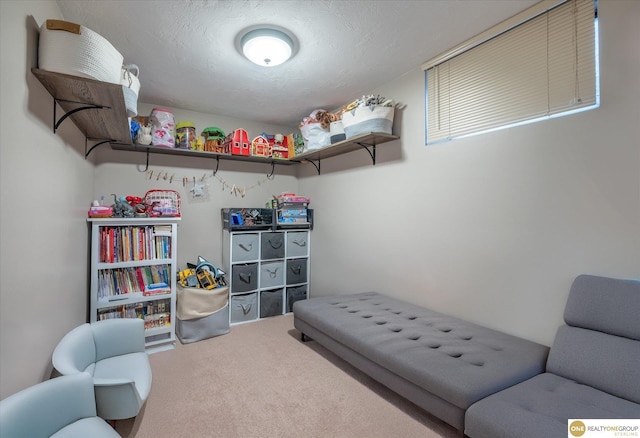 interior space featuring carpet floors and a textured ceiling