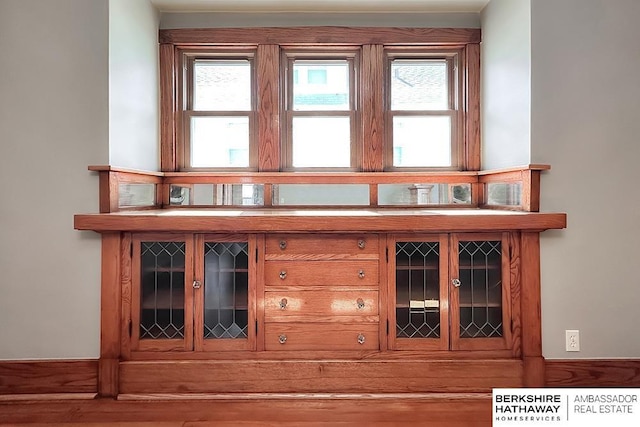 bar featuring wood finished floors and a wealth of natural light