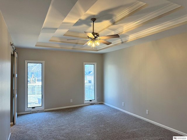 spare room featuring a raised ceiling, plenty of natural light, ornamental molding, and carpet