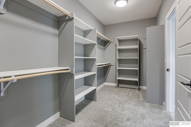 walk in closet with light colored carpet