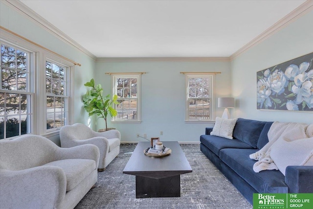 living area with ornamental molding