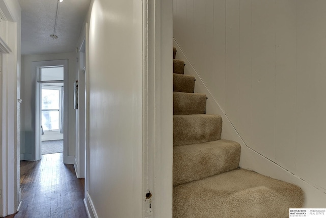 stairs featuring wood finished floors