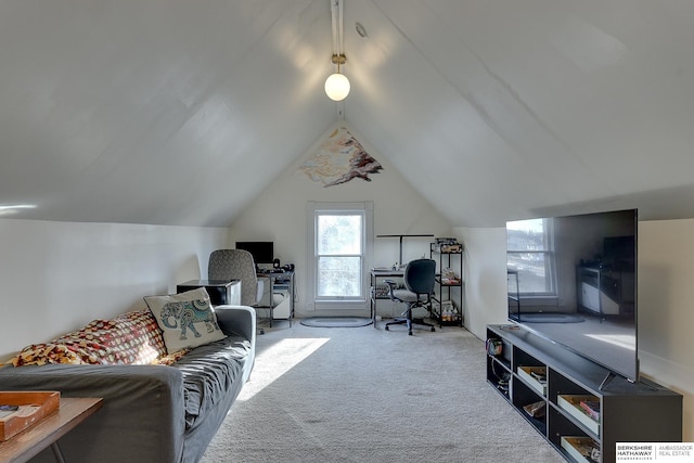 interior space featuring vaulted ceiling