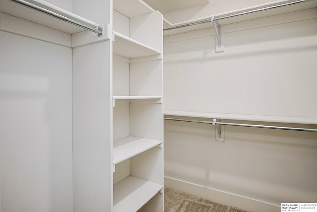walk in closet featuring carpet