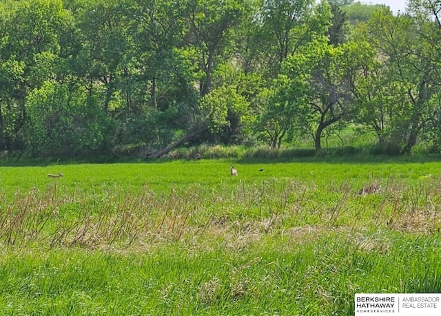 view of landscape featuring a forest view