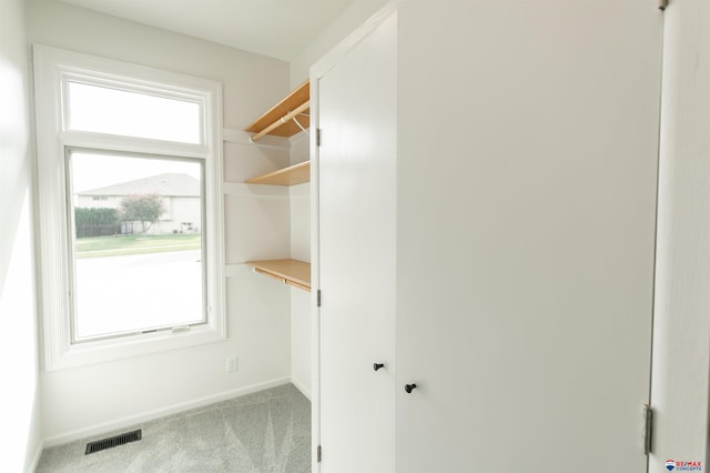 walk in closet featuring visible vents and carpet floors