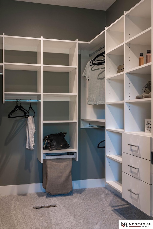 walk in closet with visible vents and carpet floors