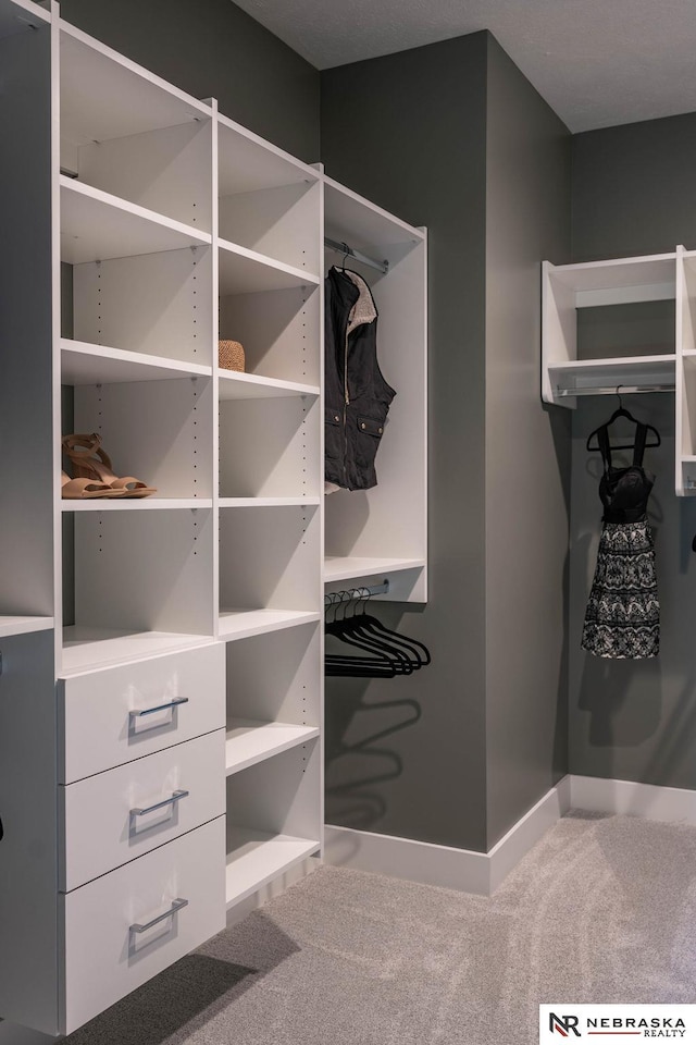 walk in closet featuring carpet floors