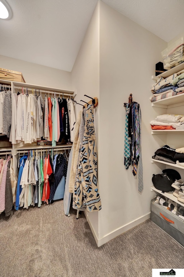 walk in closet with carpet floors