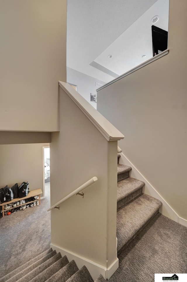 stairs with carpet flooring