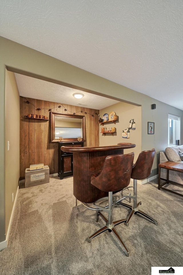 bar featuring light carpet, a textured ceiling, wood walls, baseboards, and a dry bar