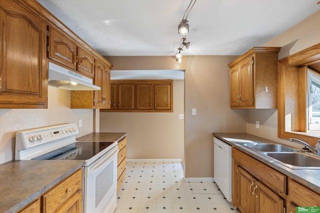 kitchen with brown cabinets, under cabinet range hood, a sink, white appliances, and light floors