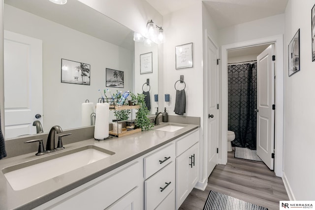 bathroom with double vanity, toilet, wood finished floors, and a sink