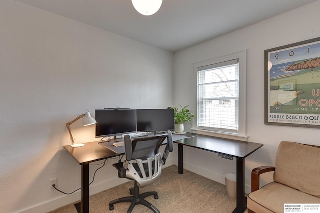 office with baseboards and carpet