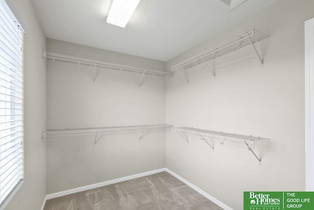 walk in closet featuring light colored carpet