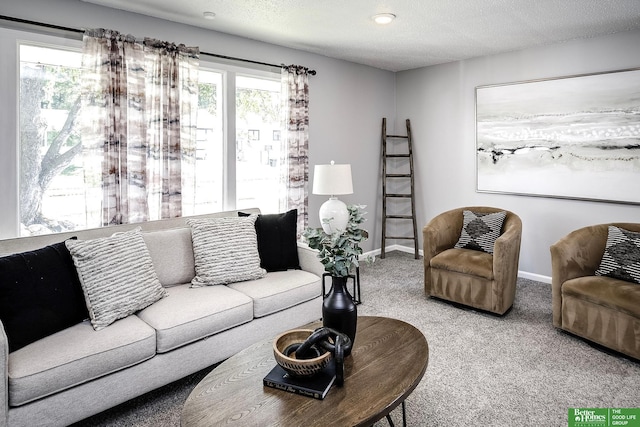 living area with baseboards, a textured ceiling, and carpet