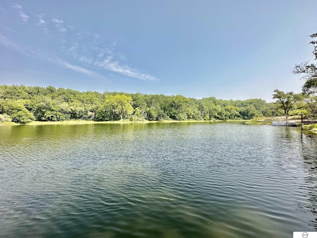 view of water feature featuring a forest view