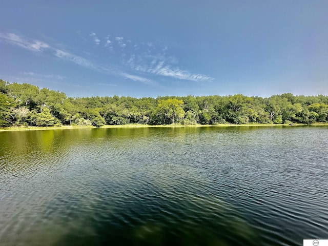 water view featuring a forest view