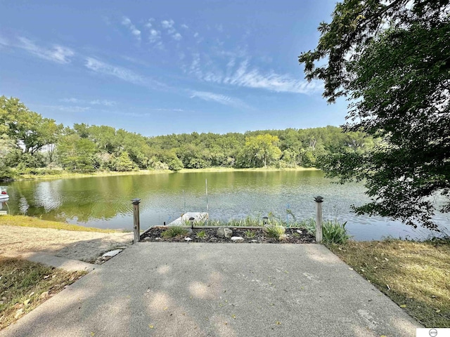 water view featuring a view of trees