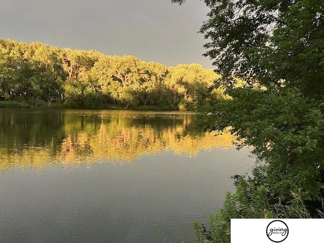 property view of water with a forest view