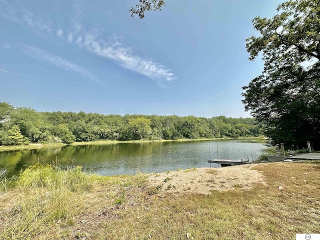 water view featuring a forest view and a boat dock