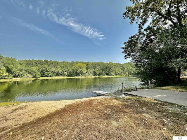 exterior space featuring a forest view and a boat dock